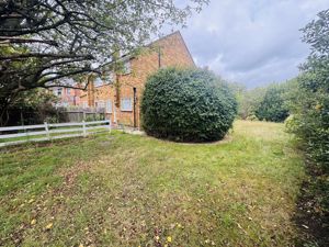 Photo 11- click for photo gallery